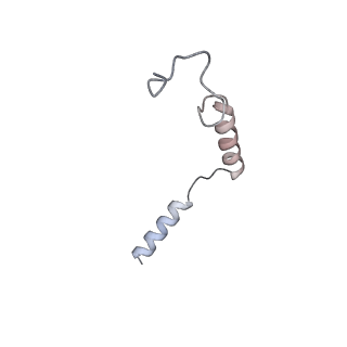 40915_8szg_E_v1-2
Cryo-EM structure of cinacalcet-bound human calcium-sensing receptor CaSR-Gq complex in lipid nanodiscs