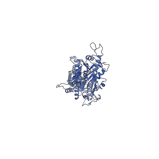 40916_8szh_A_v1-2
Cryo-EM structure of cinacalcet-bound human calcium-sensing receptor CaSR-Gi complex in lipid nanodiscs