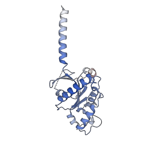 40916_8szh_C_v1-2
Cryo-EM structure of cinacalcet-bound human calcium-sensing receptor CaSR-Gi complex in lipid nanodiscs