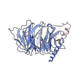 40916_8szh_D_v1-2
Cryo-EM structure of cinacalcet-bound human calcium-sensing receptor CaSR-Gi complex in lipid nanodiscs