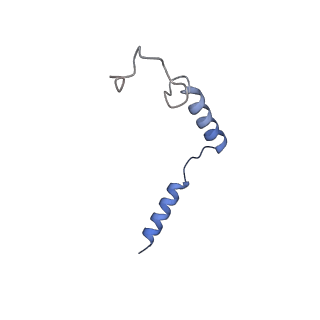 40916_8szh_E_v1-2
Cryo-EM structure of cinacalcet-bound human calcium-sensing receptor CaSR-Gi complex in lipid nanodiscs