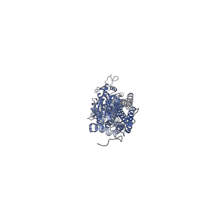 40917_8szi_A_v1-2
Cryo-EM structure of PAM-free human calcium-sensing receptor CaSR-Gi complex in lipid nanodiscs