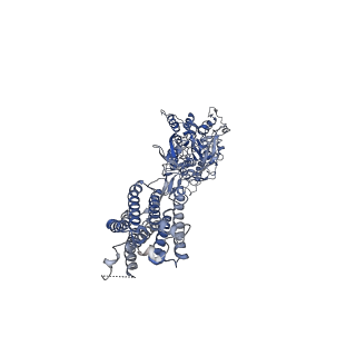 40917_8szi_B_v1-2
Cryo-EM structure of PAM-free human calcium-sensing receptor CaSR-Gi complex in lipid nanodiscs