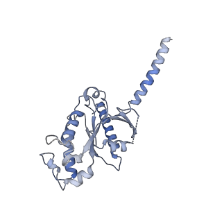 40917_8szi_C_v1-2
Cryo-EM structure of PAM-free human calcium-sensing receptor CaSR-Gi complex in lipid nanodiscs