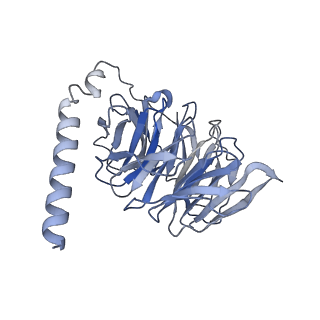 40917_8szi_D_v1-2
Cryo-EM structure of PAM-free human calcium-sensing receptor CaSR-Gi complex in lipid nanodiscs