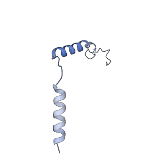 40917_8szi_E_v1-2
Cryo-EM structure of PAM-free human calcium-sensing receptor CaSR-Gi complex in lipid nanodiscs