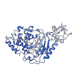 40918_8szj_A_v1-0
Human glutaminase C (Y466W) with L-Gln and Pi, filamentous form