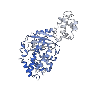 40918_8szj_B_v1-0
Human glutaminase C (Y466W) with L-Gln and Pi, filamentous form