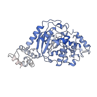 40918_8szj_C_v1-0
Human glutaminase C (Y466W) with L-Gln and Pi, filamentous form