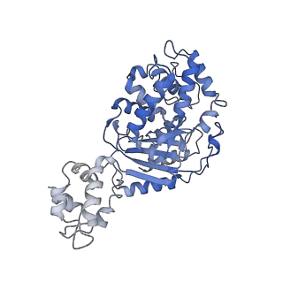 40918_8szj_D_v1-0
Human glutaminase C (Y466W) with L-Gln and Pi, filamentous form