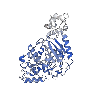 40918_8szj_F_v1-0
Human glutaminase C (Y466W) with L-Gln and Pi, filamentous form