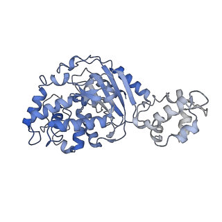 40918_8szj_G_v1-0
Human glutaminase C (Y466W) with L-Gln and Pi, filamentous form