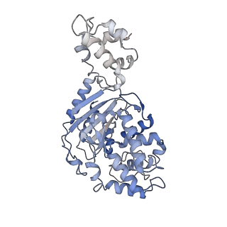 40918_8szj_H_v1-0
Human glutaminase C (Y466W) with L-Gln and Pi, filamentous form