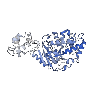 40918_8szj_K_v1-0
Human glutaminase C (Y466W) with L-Gln and Pi, filamentous form