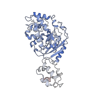 40918_8szj_L_v1-0
Human glutaminase C (Y466W) with L-Gln and Pi, filamentous form