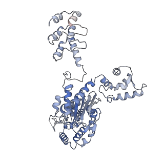 40920_8szl_A_v1-0
Human liver-type glutaminase (Apo form)