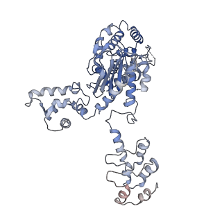 40920_8szl_B_v1-0
Human liver-type glutaminase (Apo form)