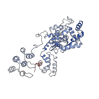 40920_8szl_C_v1-0
Human liver-type glutaminase (Apo form)