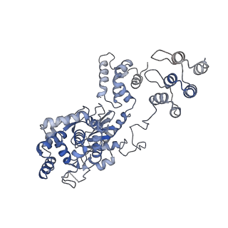 40920_8szl_D_v1-0
Human liver-type glutaminase (Apo form)