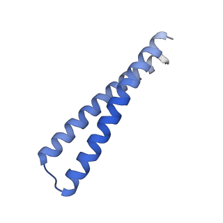 40926_8szz_S_v1-1
CryoEM Structure of Computationally Designed Nanocage O32-ZL4