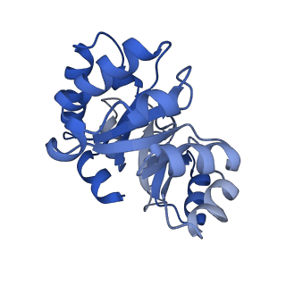 40926_8szz_d_v1-1
CryoEM Structure of Computationally Designed Nanocage O32-ZL4