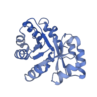40926_8szz_j_v1-1
CryoEM Structure of Computationally Designed Nanocage O32-ZL4