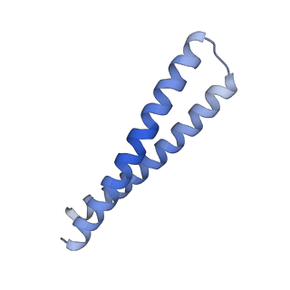 40926_8szz_z_v1-1
CryoEM Structure of Computationally Designed Nanocage O32-ZL4