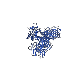 8331_5szs_A_v2-0
Glycan shield and epitope masking of a coronavirus spike protein observed by cryo-electron microscopy