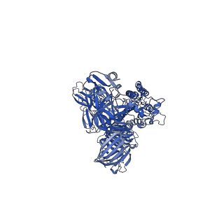 8331_5szs_C_v1-6
Glycan shield and epitope masking of a coronavirus spike protein observed by cryo-electron microscopy