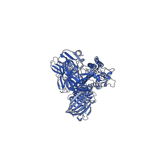 8331_5szs_C_v2-0
Glycan shield and epitope masking of a coronavirus spike protein observed by cryo-electron microscopy