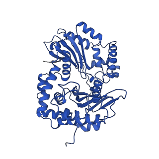 10340_6t0b_A_v1-1
The III2-IV(5B)2 respiratory supercomplex from S. cerevisiae