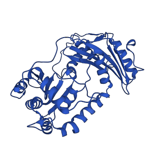 10340_6t0b_B_v1-1
The III2-IV(5B)2 respiratory supercomplex from S. cerevisiae
