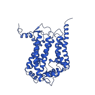 10340_6t0b_C_v1-1
The III2-IV(5B)2 respiratory supercomplex from S. cerevisiae