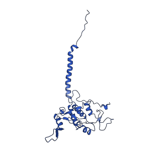 10340_6t0b_D_v1-1
The III2-IV(5B)2 respiratory supercomplex from S. cerevisiae