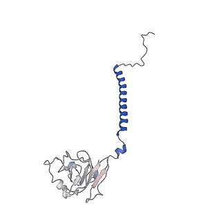 10340_6t0b_E_v1-1
The III2-IV(5B)2 respiratory supercomplex from S. cerevisiae