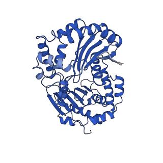 10340_6t0b_L_v1-1
The III2-IV(5B)2 respiratory supercomplex from S. cerevisiae