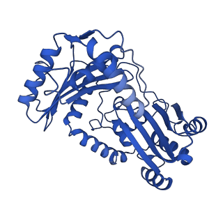 10340_6t0b_M_v1-1
The III2-IV(5B)2 respiratory supercomplex from S. cerevisiae