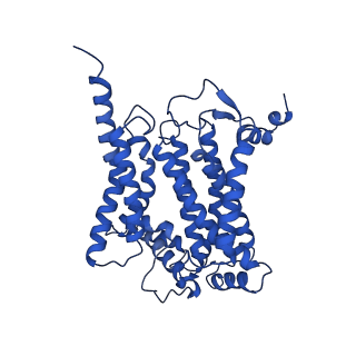 10340_6t0b_N_v1-1
The III2-IV(5B)2 respiratory supercomplex from S. cerevisiae