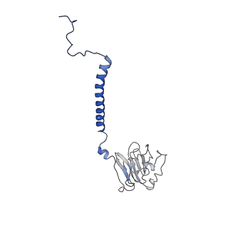 10340_6t0b_P_v1-1
The III2-IV(5B)2 respiratory supercomplex from S. cerevisiae