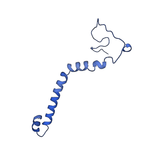 10340_6t0b_S_v1-1
The III2-IV(5B)2 respiratory supercomplex from S. cerevisiae