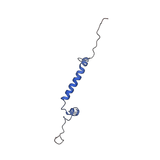 10340_6t0b_U_v1-1
The III2-IV(5B)2 respiratory supercomplex from S. cerevisiae