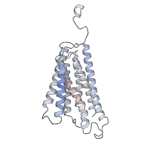 10340_6t0b_c_v1-1
The III2-IV(5B)2 respiratory supercomplex from S. cerevisiae
