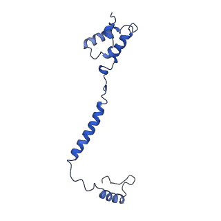 10340_6t0b_e_v1-1
The III2-IV(5B)2 respiratory supercomplex from S. cerevisiae