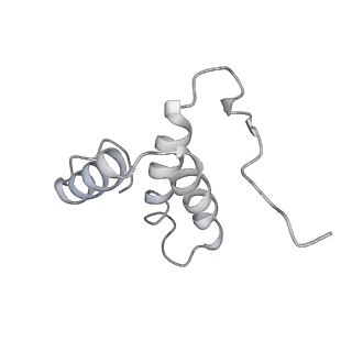 10340_6t0b_j_v1-1
The III2-IV(5B)2 respiratory supercomplex from S. cerevisiae