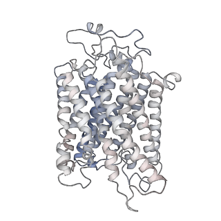 10340_6t0b_n_v1-1
The III2-IV(5B)2 respiratory supercomplex from S. cerevisiae