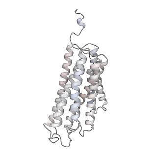 10340_6t0b_p_v1-1
The III2-IV(5B)2 respiratory supercomplex from S. cerevisiae