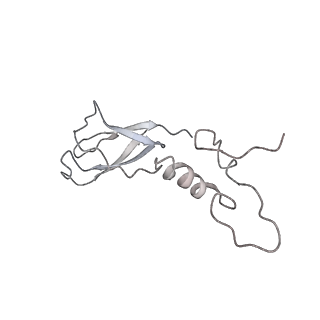 10340_6t0b_q_v1-1
The III2-IV(5B)2 respiratory supercomplex from S. cerevisiae