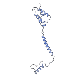 10340_6t0b_r_v1-1
The III2-IV(5B)2 respiratory supercomplex from S. cerevisiae