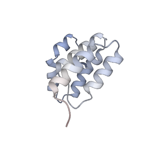 10340_6t0b_s_v1-1
The III2-IV(5B)2 respiratory supercomplex from S. cerevisiae
