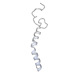 10340_6t0b_u_v1-1
The III2-IV(5B)2 respiratory supercomplex from S. cerevisiae